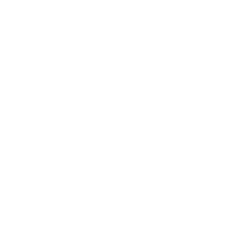 Anderson Allen LLC