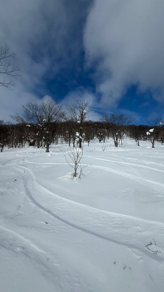 A snowy winter landscape with a blue sky and bare trees covered in snow. A snow-covered path winds through the scene.