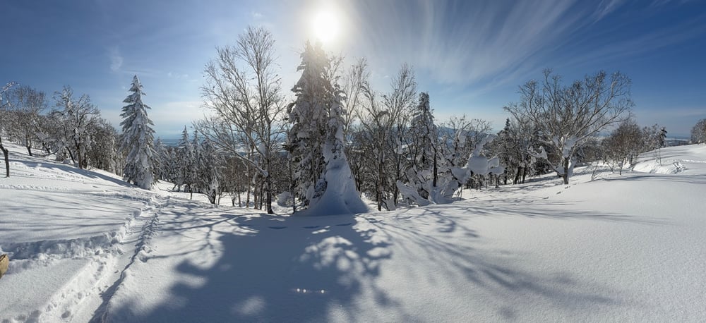 A panoramic view of a snowy winter landscape with snow-covered trees, a snowboard track through the snow, and a bright sun shining in the sky.