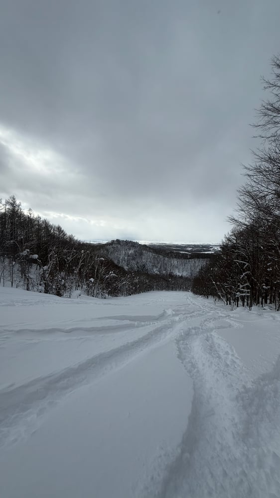 A snowy forest trail winding through a winter landscape, with bare trees and mountains in the distance.