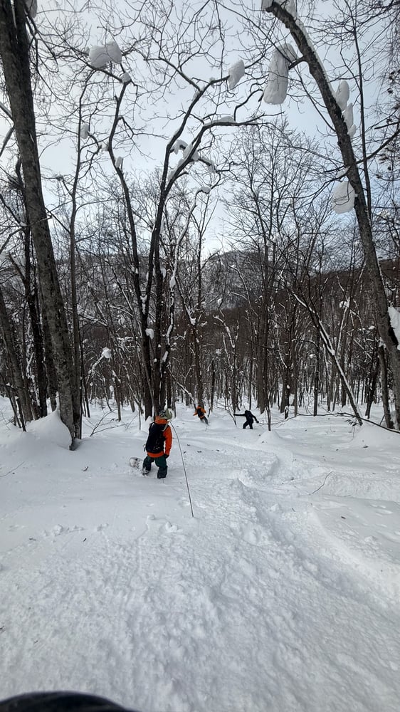 A snowy winter forest path with several people hiking through the snow-covered trees and branches.