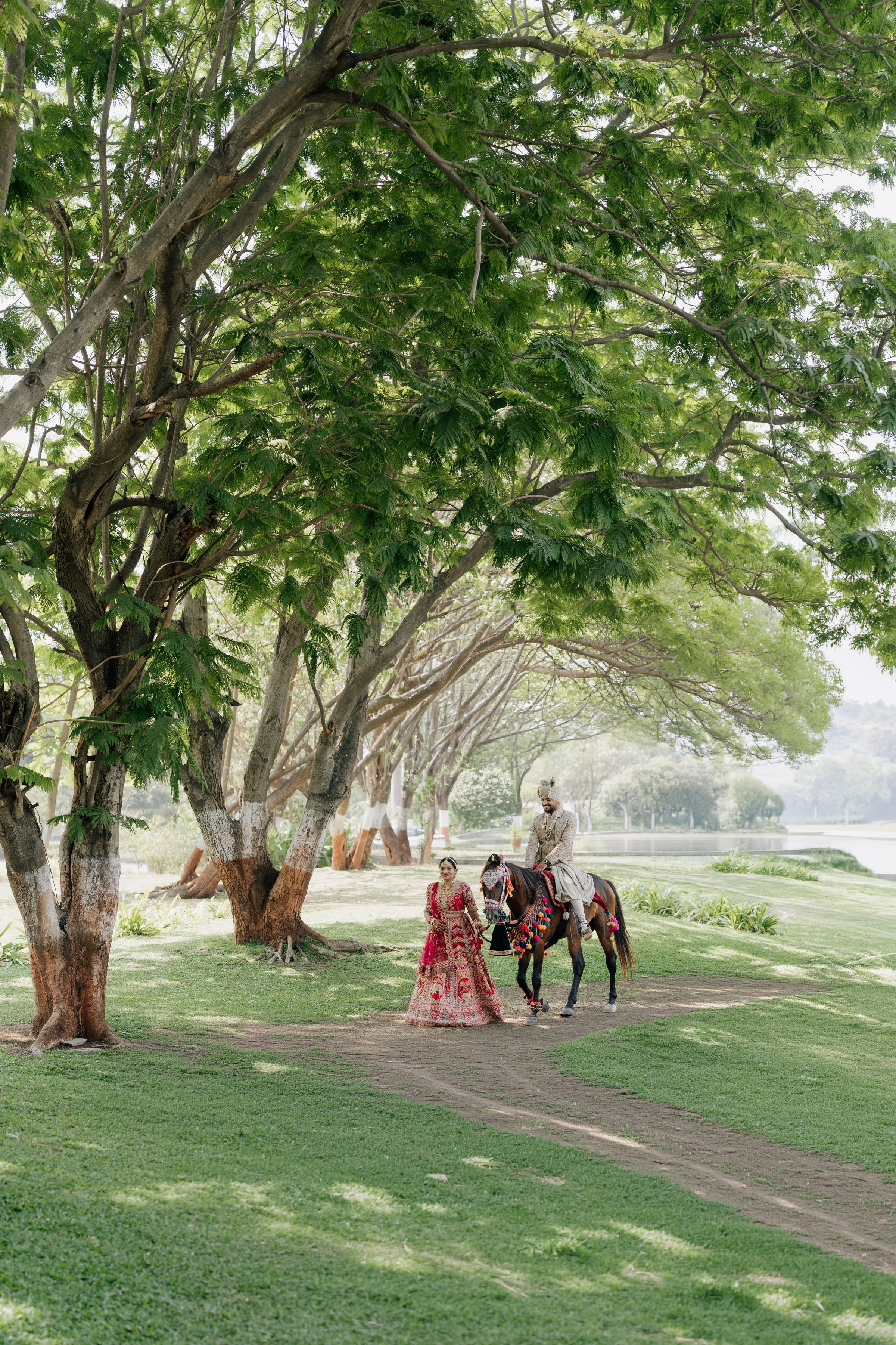 The baraat avenue, from above the trees