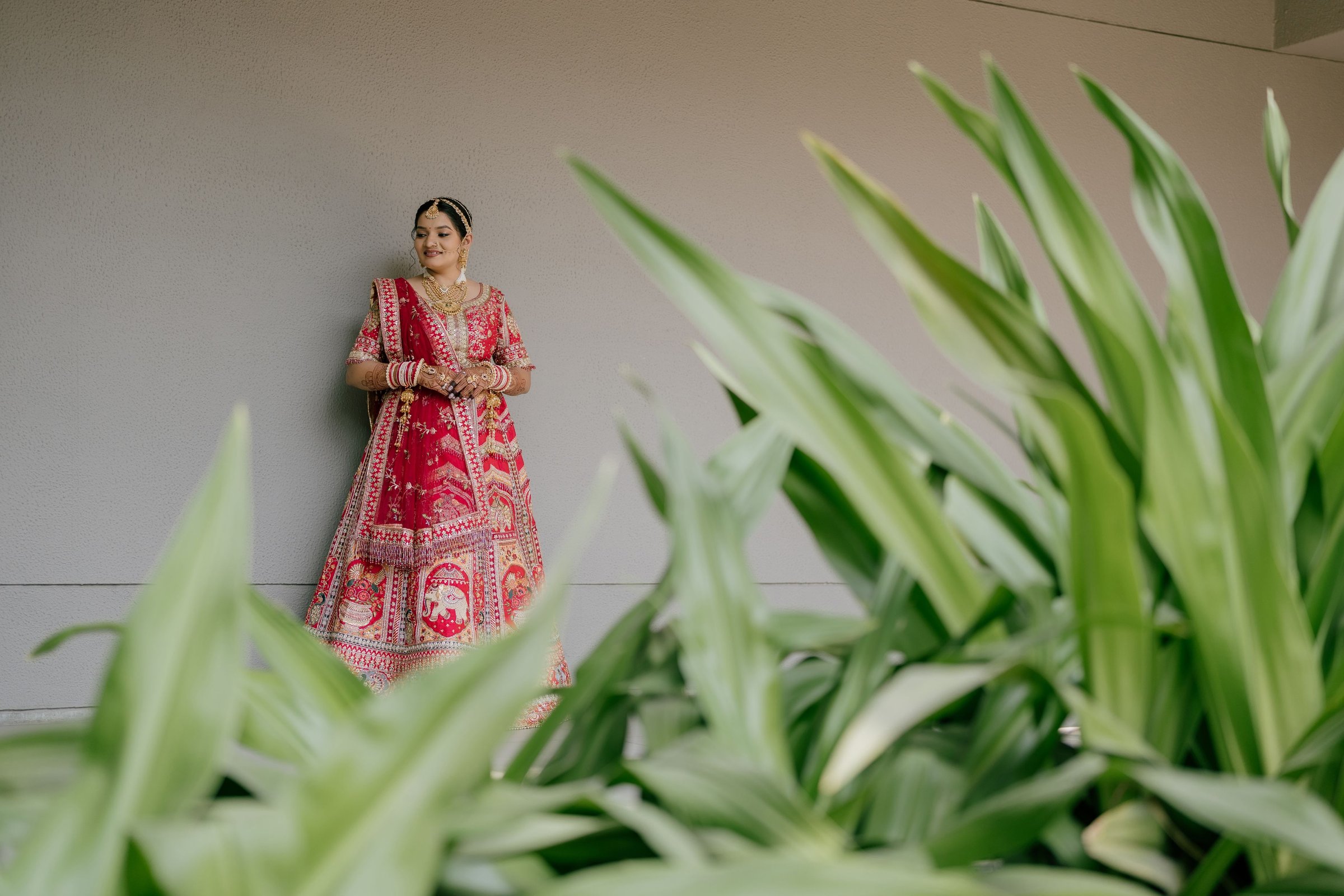 Framed through the garden
