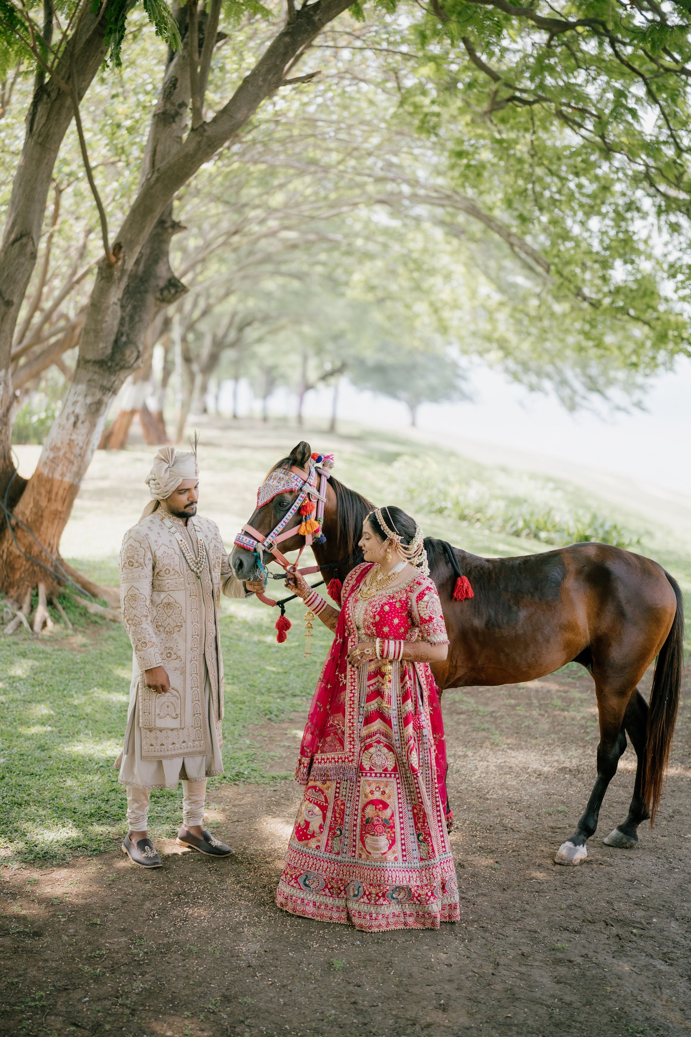 The baraat horse waits under the old trees
