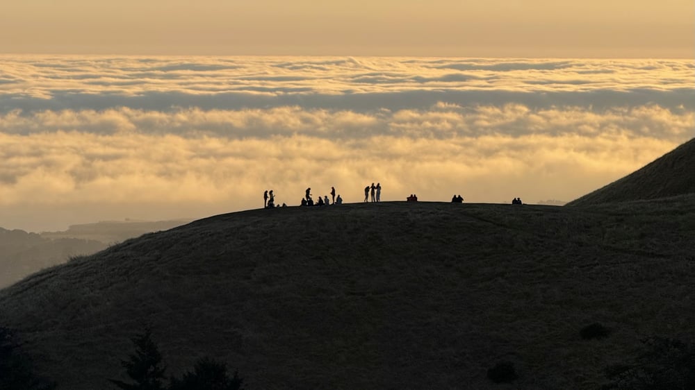 Mt. Tam