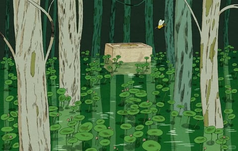 This image presents a stylized, illustrative aesthetic with a painterly, textured rendering technique reminiscent of traditional gouache or digital painting with visible brushwork. The color language is dominated by a muted, earthy palette of deep forest greens, soft sage, and warm off-whites, with low saturation and gentle contrast that creates a cohesive, naturalistic tone. Lighting is diffuse and ambient, suggesting an overcast day or shaded forest interior, with soft, non-directional illumination that avoids harsh shadows and conveys a tranquil, serene mood. Texture and material feel are emphasized through visible brushstrokes on tree bark, the smooth yet slightly uneven surfaces of lily pads, and the subtle grain of the wooden crate, giving a tactile, handcrafted impression. Compositionally, the image uses a framed perspective with tall, vertical tree trunks creating a natural border, while the central flooded forest floor with scattered lily pads and a floating crate establishes depth through layered elements and subtle reflections. Shape language is predominantly organic, with rounded lily pads, irregular tree forms, and soft edges, though the geometric rectangular crate provides a subtle contrast. The overall mood is calm, mysterious, and slightly melancholic, evoking a quiet, secluded natural space with low visual energy and a sense of stillness.
