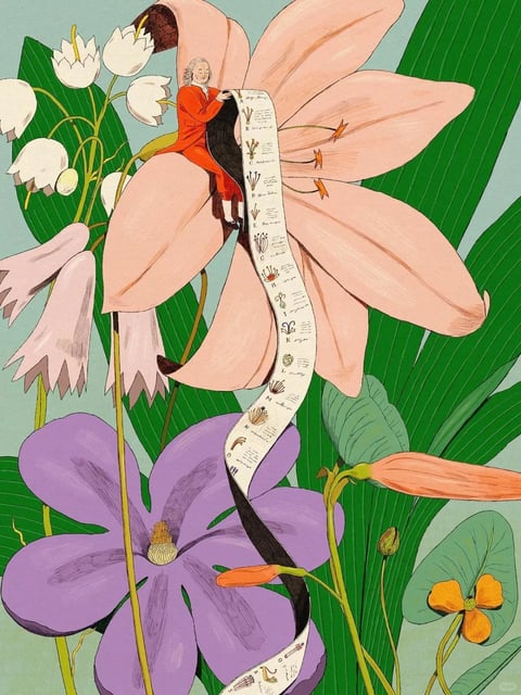 The image is a flat, illustrative artwork with a painterly quality, characterized by a soft, muted color palette dominated by pastel pinks, lavender purples, and creamy whites, accented by deep forest greens and a single pop of warm orange. The lighting is soft and diffused, creating a gentle, even illumination across the scene without harsh shadows, contributing to a calm and whimsical mood. Textures are rendered with visible, deliberate brushstrokes that give a tactile, hand-painted feel to the petals and leaves, while the paper scroll has a smoother, aged appearance. The composition is densely layered, with oversized botanical elements filling the frame and creating a shallow depth of field, where the central figure and scroll are positioned in the mid-ground against a backdrop of lush foliage. Shapes are predominantly organic, with curving petals and leaves defined by clean, consistent line weights and soft edges. The overall atmosphere is serene and fantastical, evoking a sense of quiet discovery within a magical, miniature world.