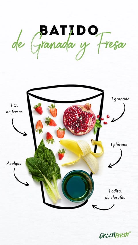 This image is a clean, minimalist recipe graphic for a 'Batido de Granada y Fresa' (Pomegranate and Strawberry Smoothie), presented on a textured white background that resembles paper. The central composition features a bold, black line drawing of a blender jar, which acts as a container for a flat-lay arrangement of photorealistic ingredients. The visual aesthetic is a hybrid of illustrative and photographic elements, with the crisp, graphic outline contrasting against the high-detail, vibrant food photography. The color language is fresh and saturated, dominated by the deep ruby red of the pomegranate and strawberries, the bright yellow of a peeled banana, the rich green of chard leaves, and a small bowl of dark teal liquid, all set against the neutral white. Lighting is bright, even, and soft, creating minimal shadows that give the ingredients a clean, appetizing look with no harsh directional light. Textures are rendered with photographic clarity, from the juicy arils of the pomegranate and the seeded surface of the strawberries to the fibrous veins of the chard and the smooth peel of the banana. The composition is vertically oriented and centrally framed, with ingredients artfully scattered within the drawn outline and connected by thin, curved black arrows to descriptive text labels. The shape language combines the strict geometric curve of the drawn blender with the organic, natural forms of the produce. The overall mood is fresh, healthy, and instructional, with a light, energetic atmosphere. Visible text includes the title 'BATIDO de Granada y Fresa' in a mix of bold sans-serif and elegant script fonts at the top, and ingredient labels in Spanish (e.g., '1 tz. de fresas', '1 granada', 'Acelgas', '1 plátano', '1 cdita. de clorofila') positioned around the central graphic, each with an arrow pointing to the corresponding item, serving a clear informational role. The GreenFresh® logo appears in the bottom right corner.