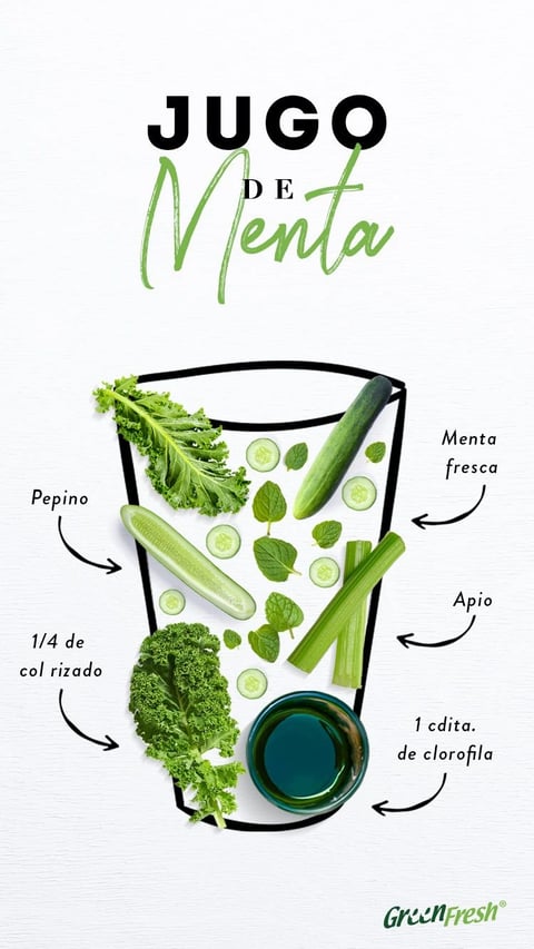 The image is a flat-lay infographic on a textured white background, presenting a recipe for 'Jugo de Menta' (Mint Juice). The central composition features a stylized, black-outlined glass shape acting as a container for the ingredients, which are arranged as a deconstructed still life. The ingredients include a whole cucumber, a sliced cucumber half, several cucumber slices, fresh mint leaves, kale leaves, celery stalks, and a small glass bowl of dark green chlorophyll liquid. The visual aesthetic is a clean, modern blend of photography and illustration, with photorealistic ingredient images composited onto a hand-drawn, graphic container. The color language is dominated by a fresh, natural palette of various greens—from the deep forest green of kale to the bright lime of celery and the muted sage of mint—contrasted against the stark white background and black line art. Lighting is even and soft, suggesting a diffused, overhead source that minimizes shadows and highlights the natural textures of the produce. Texture and material feel are emphasized through the crisp, detailed rendering of the leafy kale, the smooth, waxy skin of the cucumber, and the fibrous stalks of celery, creating a tactile, fresh impression. The composition is centered and balanced, using the graphic glass outline to frame and organize the organic shapes of the ingredients, creating a clear visual hierarchy. Shape language combines the organic, irregular forms of the vegetables and leaves with the clean, geometric lines of the glass outline and text elements. The mood is fresh, healthy, and instructional, conveying a sense of natural vitality and simplicity. Visible text includes the large, stylized title 'JUGO DE Menta' at the top, with 'JUGO' in a bold, black sans-serif font and 'DE Menta' in a flowing, green script. Smaller labels in a simple black font identify each ingredient ('Pepino', 'Menta fresca', 'Apio', '1/4 de col rizado', '1 cdita. de clorofila') with arrows pointing to them, and the 'GreenFresh' logo appears in the bottom right corner. The text is primarily in Spanish and serves to label and explain the recipe components.