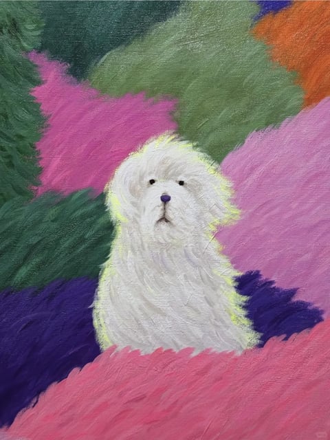 This is a painterly, expressive artwork featuring a fluffy white dog, likely a Coton de Tulear or similar breed, as the central subject. The composition is tightly framed, with the dog's head and upper torso centered against a vibrant, abstract background of bold color blocks. The visual aesthetic is distinctly painterly and illustrative, characterized by visible, textured brushstrokes that create a tactile, impasto-like surface quality, particularly noticeable in the thick, directional strokes defining the dog's fur and the surrounding color fields. The color language is highly saturated and bold, with a dominant palette of vivid magenta, deep forest green, rich violet, and a warm orange accent in the upper right, creating a high-contrast, energetic visual. The lighting appears soft and diffuse, with a subtle, warm yellow highlight outlining the dog's fur, suggesting a gentle, ambient light source that separates the subject from the background. The texture is a key element; the canvas weave is subtly visible beneath the paint, and the application is thick and expressive, giving the dog's coat a soft, woolly appearance and the background a dynamic, almost fibrous texture. Compositionally, the dog is positioned in the lower center, emerging from a field of pink at the bottom, with abstract color shapes creating a shallow, flattened depth. The shape language is organic, dominated by the soft, rounded forms of the dog and the irregular, feathered edges of the color blocks. The mood is whimsical, gentle, and slightly surreal, conveyed through the combination of the dog's serene expression and the fantastical, non-naturalistic color environment. There is no obvious text present in the image.
