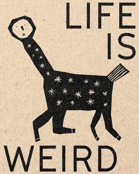 The image features a central, stylized creature that combines a human-like head with an elongated neck and a four-legged, animalistic body, rendered in a bold, illustrative style reminiscent of folk art or printmaking. The creature is depicted in profile, walking toward the left, with a long, thin neck adorned with white star-like shapes that continue across its dark, rectangular torso. Its head is a simple, octagonal shape with minimal facial features—two dots for eyes and a small line for a mouth—giving it a whimsical, slightly bewildered expression. The body is solid black with a textured, grainy appearance, suggesting a woodcut or linocut print technique, and is decorated with scattered white starbursts. The creature has four stick-like legs with small, defined hooves and a short, striped tail. The composition is centered on a textured, beige or kraft paper background that enhances the handmade, organic feel. The text 'LIFE IS' appears in large, bold, black, sans-serif capital letters in the upper right quadrant, while 'WEIRD' is placed in equally large, bold, black, sans-serif capital letters at the bottom, framing the creature and reinforcing the image's quirky, existential theme. The visual aesthetic is flat and graphic with high contrast between the black illustration and the light, textured background, utilizing a limited color palette of black and off-white. The lighting is uniform and flat, with no directional shadows, emphasizing the two-dimensional, illustrative quality. The texture is prominent, with the grain of the paper and the stippled, uneven ink application creating a tactile, vintage print feel. The shape language combines organic, flowing lines for the neck and head with geometric, blocky forms for the body and text, creating a playful tension. The overall mood is humorous, slightly surreal, and introspective, with a low-energy, contemplative atmosphere.