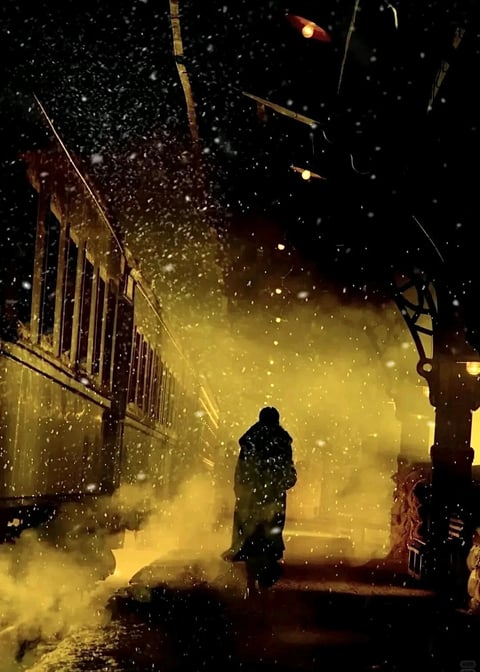 This is a photorealistic, cinematically styled image depicting a solitary figure walking away from the viewer along a snow-covered train platform at night. The composition is centered on the dark silhouette of the figure, framed on the left by the side of a vintage train carriage and on the right by ornate station architecture and a glowing lamp post, creating strong leading lines that draw the eye into the depth of the scene. The dominant visual elements are the heavy, dense snowfall illuminated by a powerful, warm amber light source from ahead, which casts long shadows and creates a thick, hazy atmosphere that diffuses the light. There is no clear readable text visible in the image. The color palette is monochromatic and high-contrast, defined by the stark opposition between the deep, inky blacks of the night and silhouettes and the saturated, golden-yellow glow that permeates the falling snow and steam, with no other hues present. The lighting is dramatic and directional, originating from a source in the background that backlights the figure and the snowflakes, creating a halo effect and emphasizing the volume of the snow and mist with soft, diffused edges. Textures are richly rendered, with the tactile impression of wet, clumping snow on surfaces, the rough fabric of the figure's heavy coat, the smooth, reflective metal of the train, and the glistening, icy quality of the falling flakes. The mood is profoundly atmospheric, evoking a sense of cinematic solitude, nostalgic mystery, and quiet intensity, with a high emotional weight carried by the solitary figure amidst the elemental conditions.