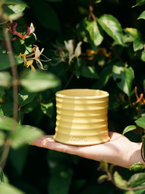 A photorealistic photograph captures a pale yellow, cylindrical vessel with a horizontally ribbed texture, held gently in an open human hand. The composition places the vessel slightly off-center to the right, framed by lush, out-of-focus green foliage and delicate, trumpet-shaped honeysuckle flowers in shades of cream, yellow, and pink, creating a shallow depth of field that emphasizes the object. The vessel is made of a smooth, matte ceramic material, with the ribbed pattern creating a rhythmic play of soft highlights and shadows across its surface. Natural, directional sunlight illuminates the scene from the upper left, casting dappled, soft-edged shadows from the leaves onto the vessel and hand, conveying a warm, serene, and organic outdoor atmosphere. Near the base of the vessel, the word "LOEWE" is subtly embossed in a clean, uppercase sans-serif font, indicating the brand. The overall color palette is dominated by warm, muted yellows and varied greens, with the high saturation of the foliage contrasting gently against the softer, more neutral tones of the subject.