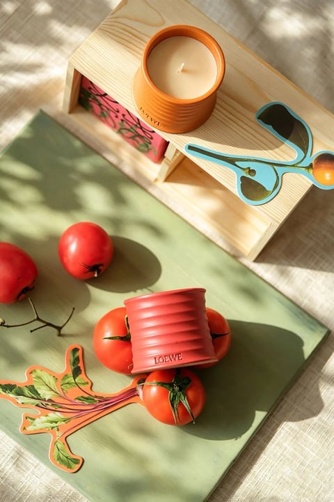 The image is a stylized still life photograph with a warm, sunlit aesthetic, featuring a curated arrangement of objects on a light wood surface and a soft green board. The composition is anchored by a small, ribbed orange ceramic candle holder with a lit candle inside, placed on a minimalist wooden stand; below this, a vibrant red, ribbed ceramic cup (embossed with the text 'LOEWE') rests atop a cluster of three glossy red tomatoes on a vine. The scene includes additional elements like two loose tomatoes on the green board and decorative cutouts of botanical illustrations—one of a leafy green plant with red stems and another of blue and orange abstract forms—adding a playful, artistic layer. Visible text includes 'LOEWE' clearly embossed on the red cup and 'JANECI' (partially visible) on the orange candle holder, both in a clean, uppercase sans-serif font, indicating brand identification. The lighting is natural and directional, casting soft, dappled shadows from an unseen light source, creating a warm, inviting atmosphere with a color palette dominated by rich reds, earthy oranges, and fresh greens against neutral wood tones. Textures are tactile and varied, from the matte, ribbed ceramics and glossy tomato skins to the smooth wood grain and fibrous paper of the cutouts. The composition balances organic shapes (tomatoes, plant cutouts) with geometric forms (ribbed cylinders, rectangular stand), using a shallow depth of field to keep the foreground objects sharp while subtly blurring the background, enhancing the intimate, peaceful mood of a sunlit, rustic yet modern setting.