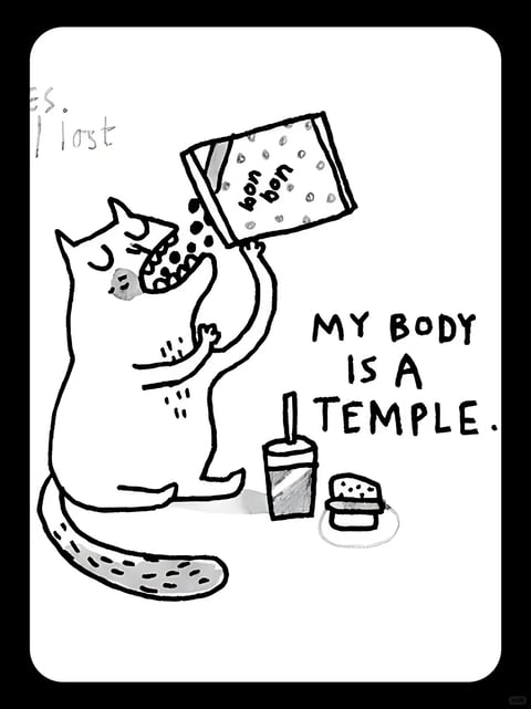 A black and white digital illustration features a plump, cartoon cat as the central subject, depicted in a side profile view and happily devouring contents from a box labeled 'bon bon'. The cat, rendered with simple, bold outlines and minimal shading, sits on its hind legs with its front paws raised, pouring small, dark, round candies directly into its open mouth. Below the cat, a soda cup with a straw and a partially eaten sandwich rest on the ground. To the right of the cat, bold, hand-drawn uppercase text reads 'MY BODY IS A TEMPLE.' The overall composition is simple and centered, with a flat, illustrative aesthetic. The visual style is characterized by a stark black-and-white color palette with high contrast, relying on line weight and solid black fills for definition. The line work is confident and slightly irregular, giving it a hand-drawn, sketch-like quality. There is no complex lighting or texture; the image relies on flat shapes and graphic elements. The mood is humorous and ironic, juxtaposing the cat's gluttonous behavior with the aspirational phrase. The text 'MY BODY IS A TEMPLE.' appears in a bold, sans-serif, hand-lettered style, positioned to the right of the cat, serving as the punchline to the visual narrative.