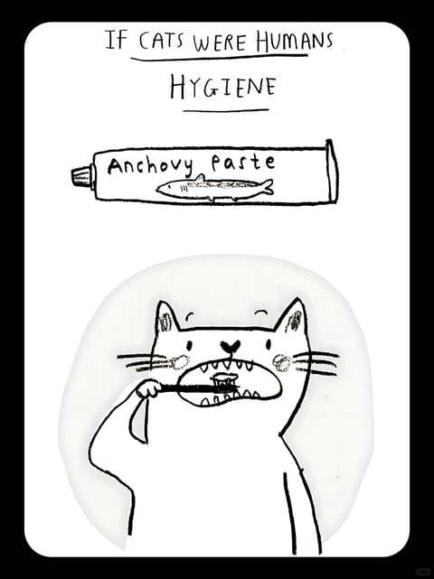 This is a single-panel, black-and-white illustrative comic with a minimal, hand-drawn aesthetic. The overall composition is vertically oriented, featuring a simple tube of product at the top and a central character below. The image content is a humorous concept titled "If Cats Were Humans: Hygiene," showing a cartoon cat brushing its teeth with anchovy paste. Visible text at the top reads "IF CATS WERE HUMANS" and "HYGIENE" in a hand-lettered, uppercase sans-serif font. The product tube is labeled "Anchovy Paste" with a simple fish illustration. The visual aesthetic is flat and line-based, using a rough, sketchy, hand-drawn style with varied line weights and imperfect edges. The color language is strictly monochromatic, consisting of black lines on a white background with high contrast. There is no lighting or shading depicted; the scene is rendered in a simple, unlit, illustrative style. Texture and material are implied through line work rather than rendered; the cat appears as a soft, rounded form, while the tube has a hard, cylindrical shape. The composition is centered, with the text and tube forming a top header and the cat character filling the lower two-thirds of the frame. The shape language is predominantly organic and rounded for the cat, with simple geometric forms for the tube and toothbrush. The mood and atmosphere is playful, humorous, and lighthearted, conveyed through the character's exaggerated, toothy grin and the absurd concept of a cat using anchovy paste for dental hygiene.