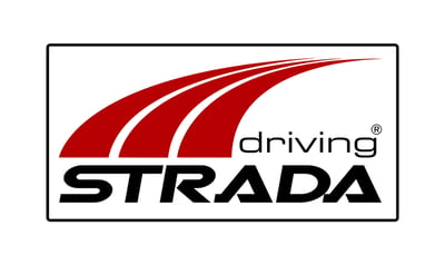 STRADA DRIVING - Unidade Aichi-Ken