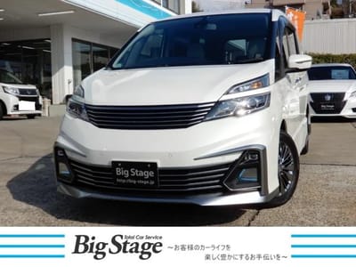 Nissan Serena Rider  30th Anniversary Pro Pilot ED.