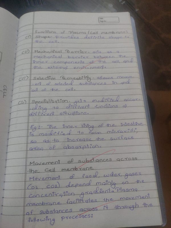 Cell Membrane Masterclass: Biology Quiz