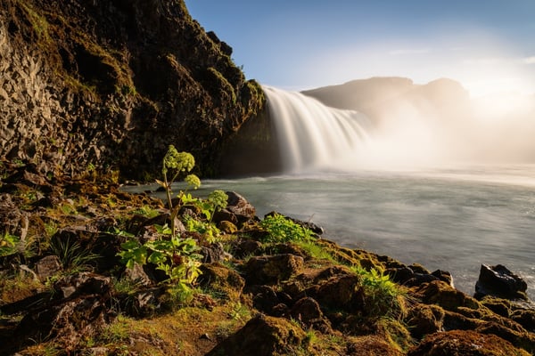 Chasing Waterfalls: The Icelandic Dream Quiz