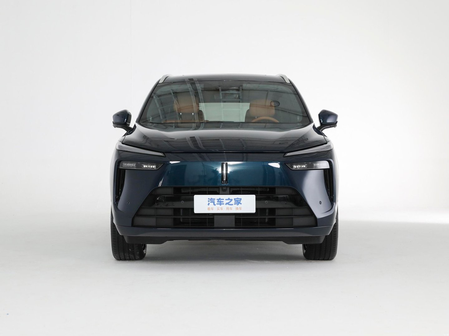 wey_Lanshan_1_generation__SUV_5-doors__20.jpg