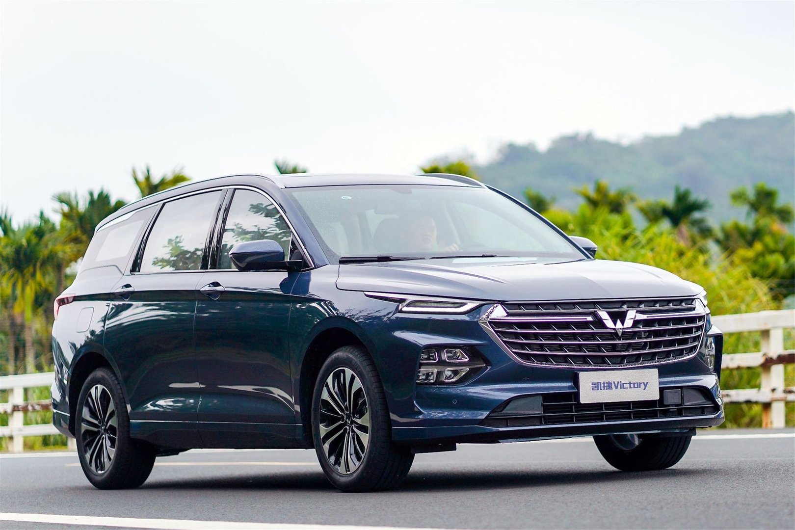wuling_Victory_1_generation__SUV_5-doors__19.jpg