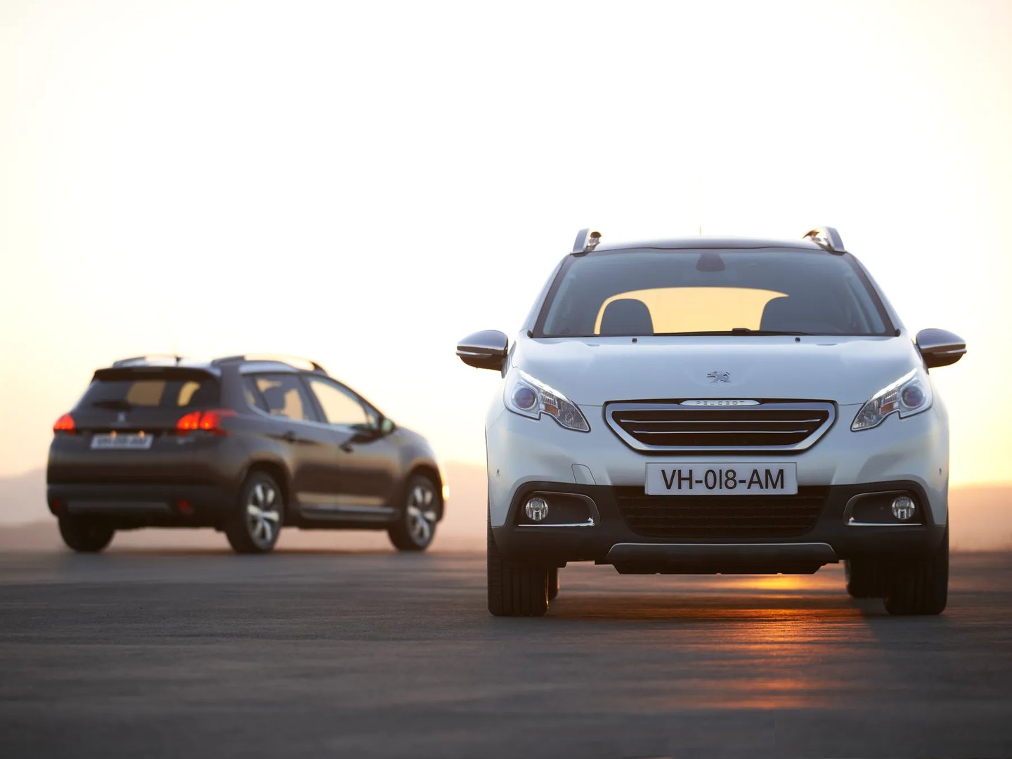 Peugeot_2008_1_generation__Estate_5-door__13.jpg