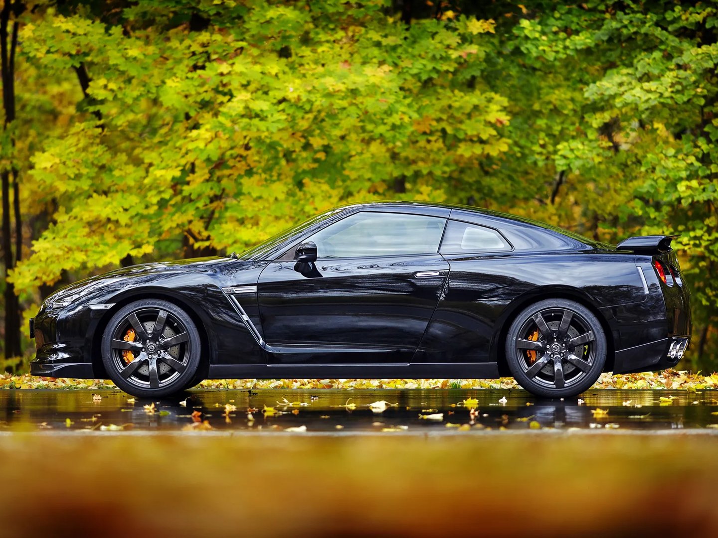 Nissan_GT-R_1_generation__Coupe__4.jpg