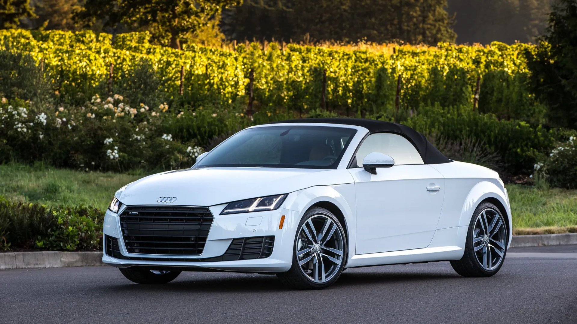 Audi_TT_3_generation__Roadster__5.jpg
