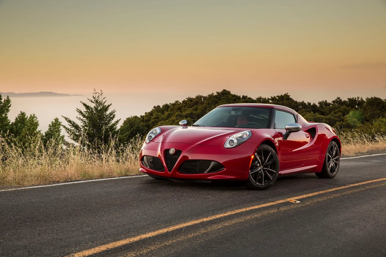 Alfa Romeo_4C_1_generation__Coupe__10.jpg