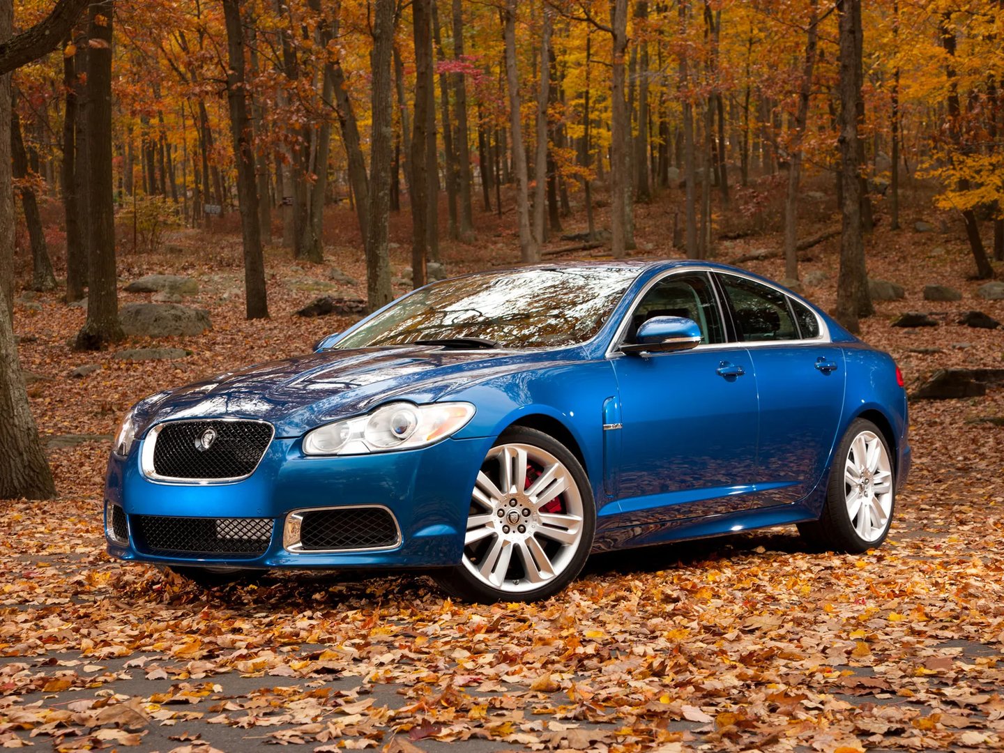 Jaguar_XFR_1_generation__Sedan__1.jpg