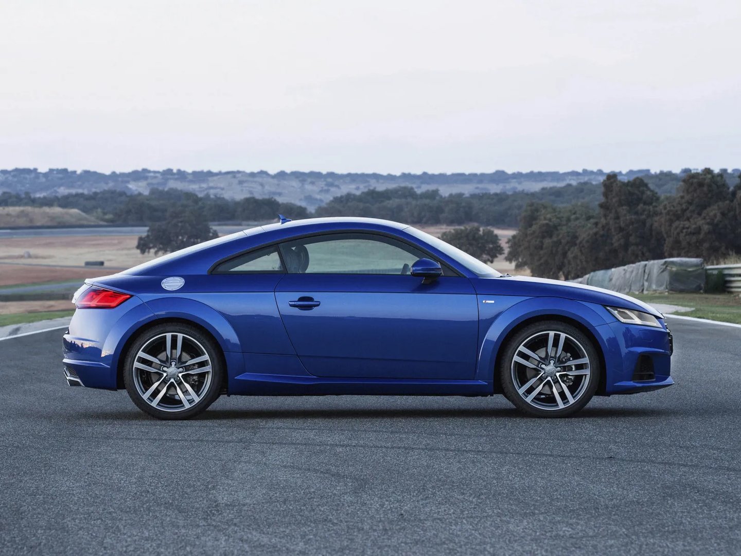 Audi_TT_3_generation__Coupe__3.jpg