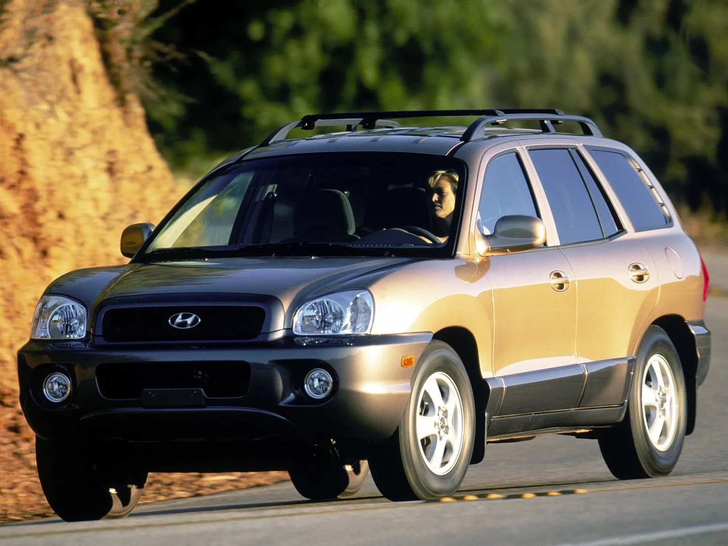 Hyundai_Santa_Fe_1_generation__SUV_5-doors__10.jpg