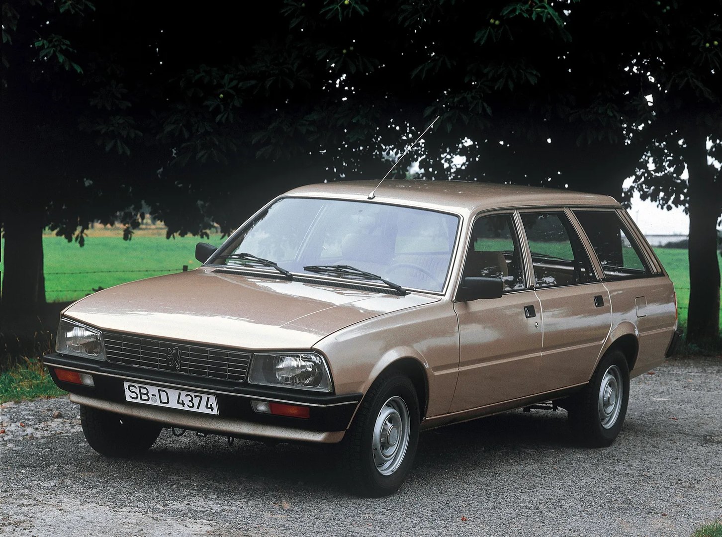 Peugeot_505_1_generation__Estate_5-door__7.jpg