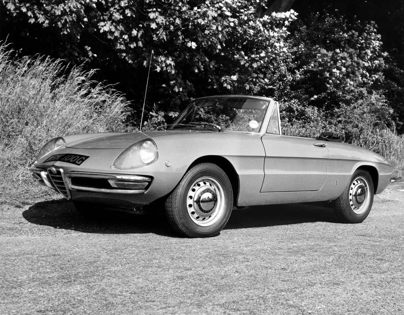 Alfa Romeo_Spider_1_generation__Cabrio__9.jpg