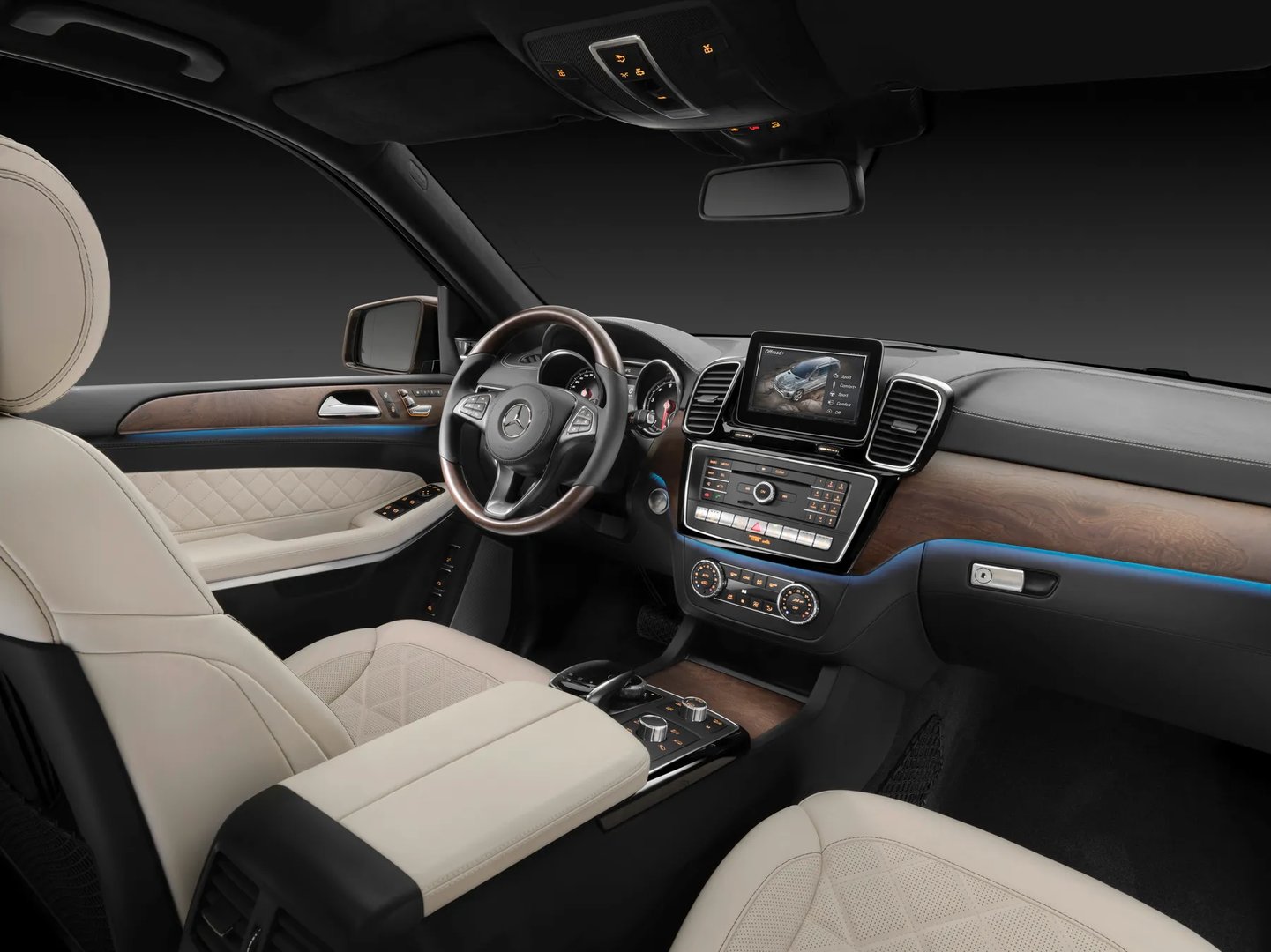 Mercedes_GLS_1_generation__SUV_5-doors__12.jpg