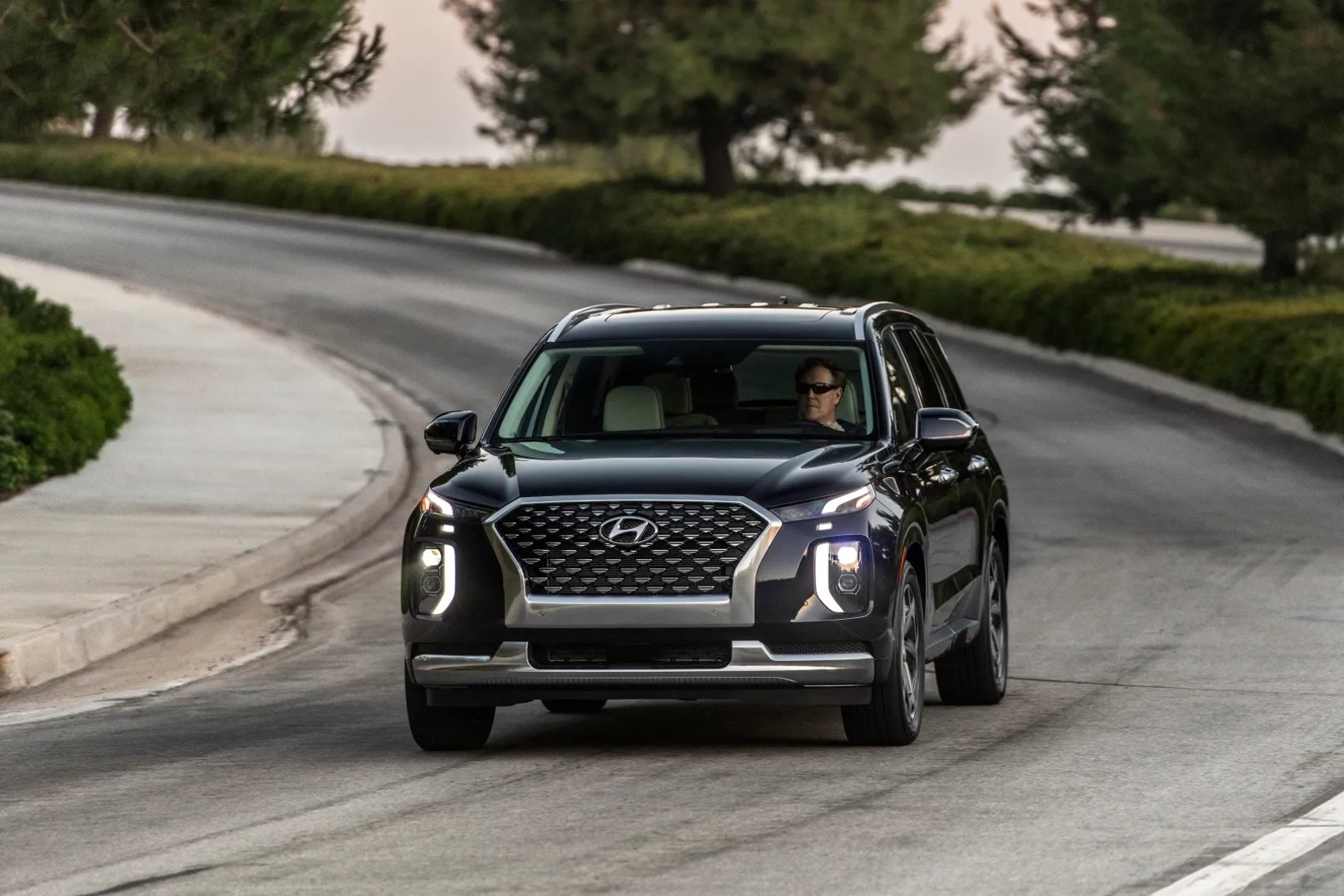Hyundai_Palisade_1_generation__SUV_5-doors__4.jpg