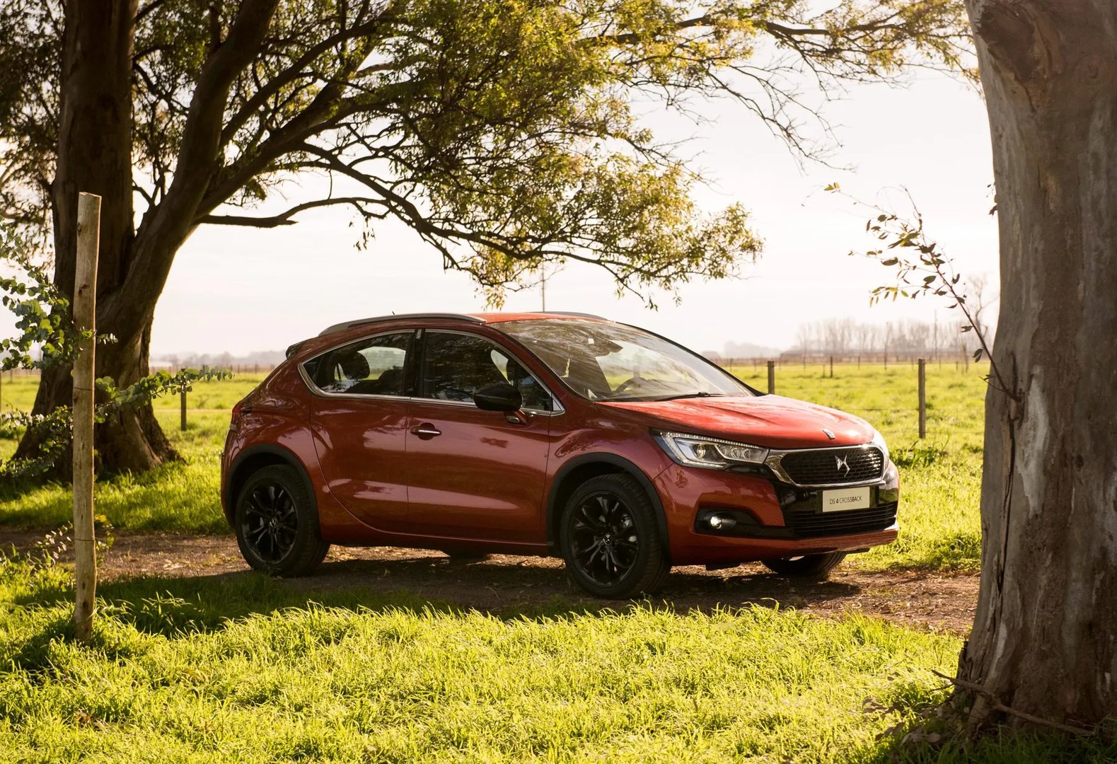 DS_4_Crossback_1_generation__SUV_5-doors__7.jpg