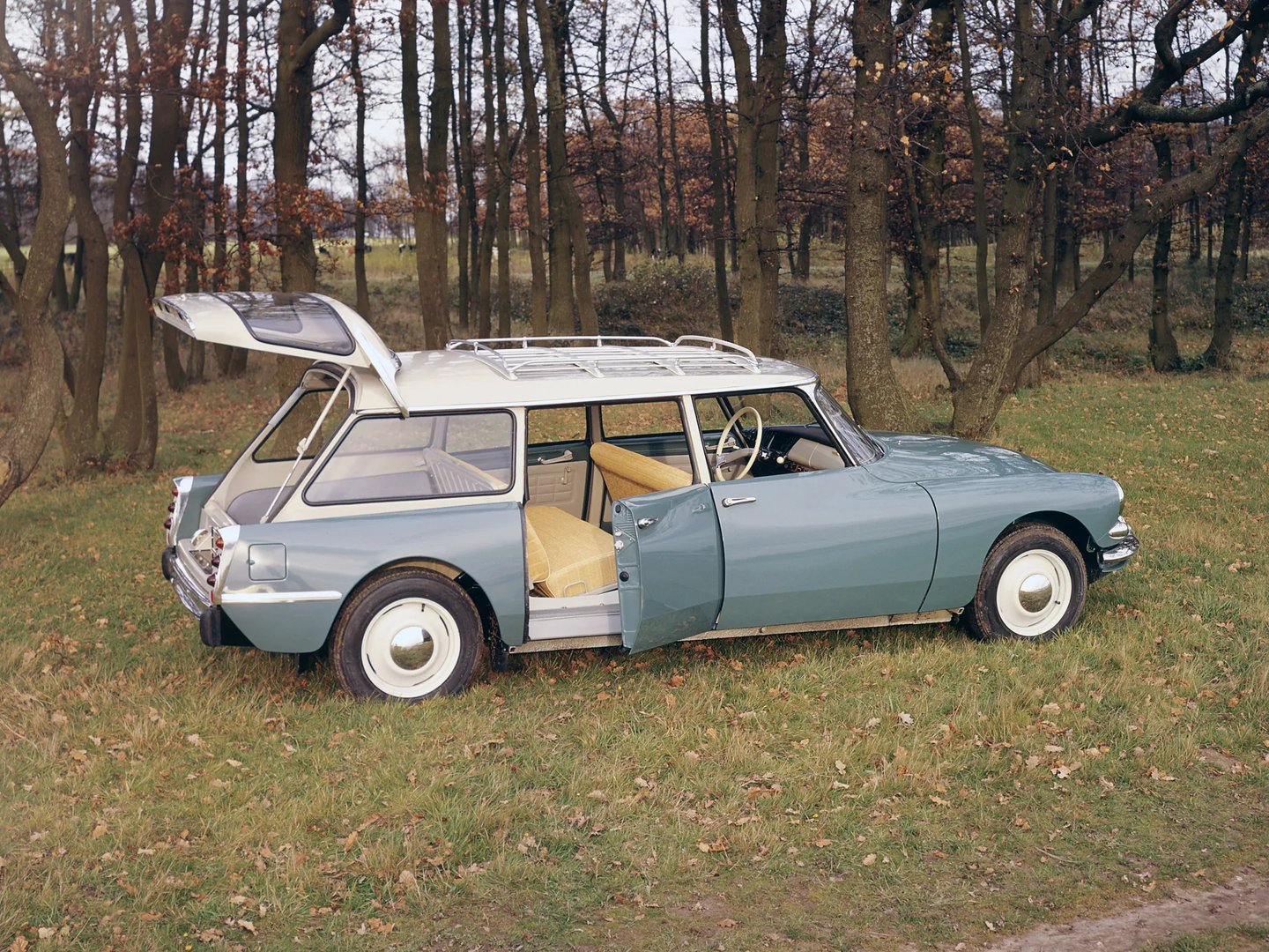 Citroen_DS_1_generation__Estate_5-door__5.jpg