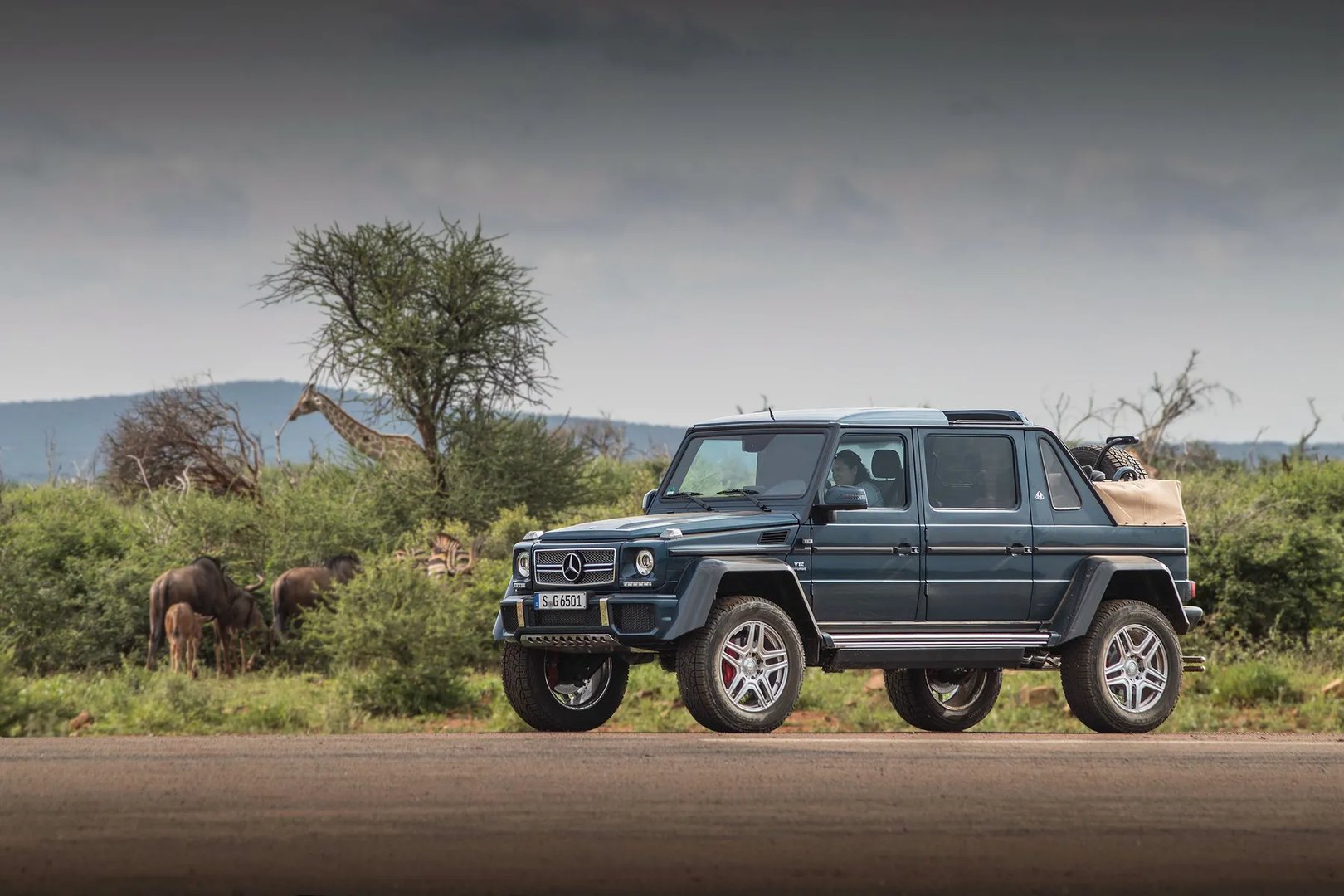 Mercedes_Maybach_G650_Landaulet_1_generation__SUV_cabriolet__12.jpg