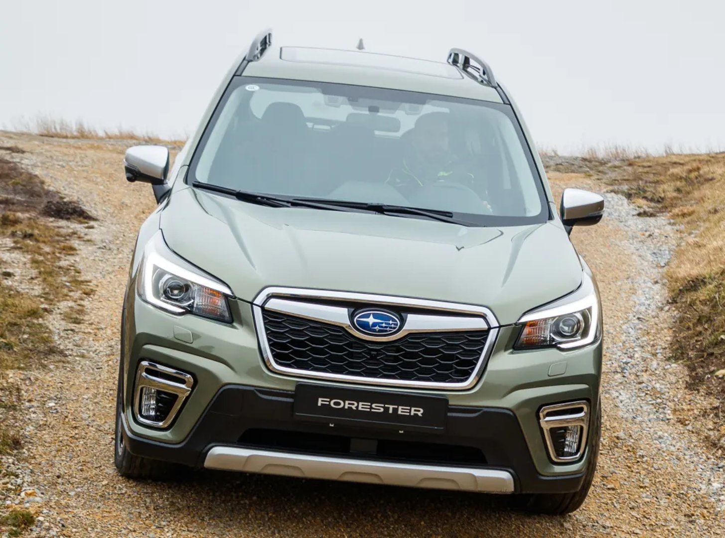 Subaru_Forester_5_generation__SUV_5-doors__5.jpg