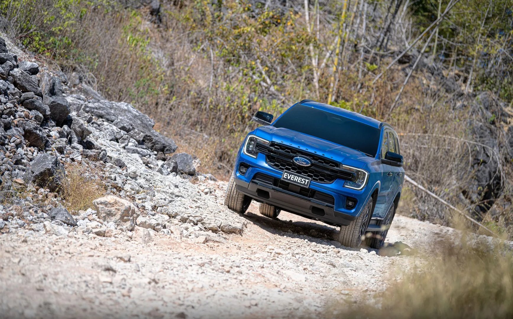 Ford_Everest_3_generation__SUV_5-doors__3.jpg