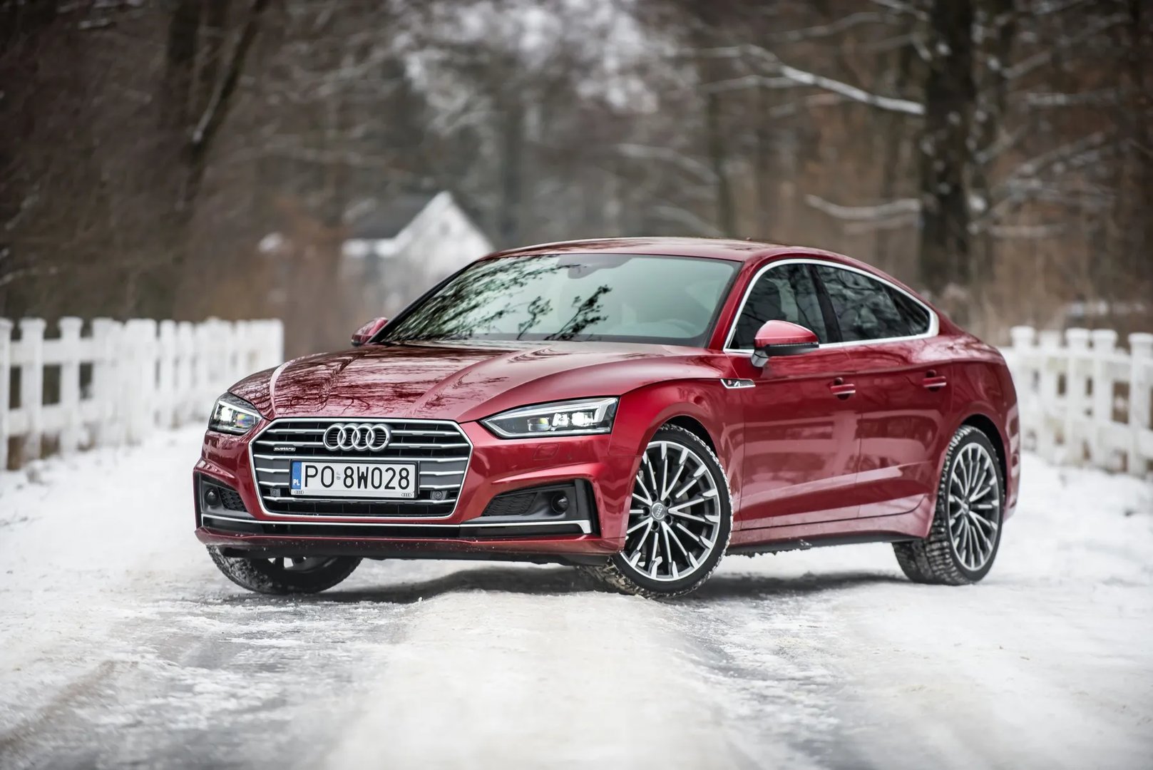 Audi_A5_2_generation__Liftback__5.jpg