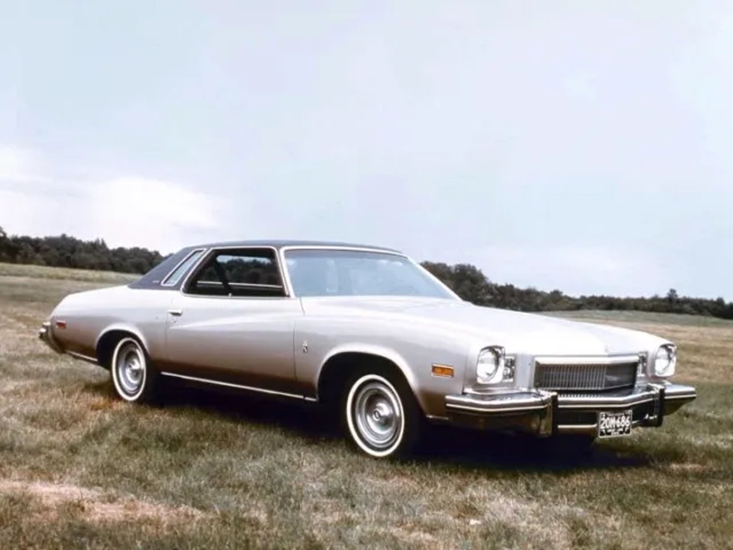 Buick_Regal_1_generation__Coupe__4.jpg