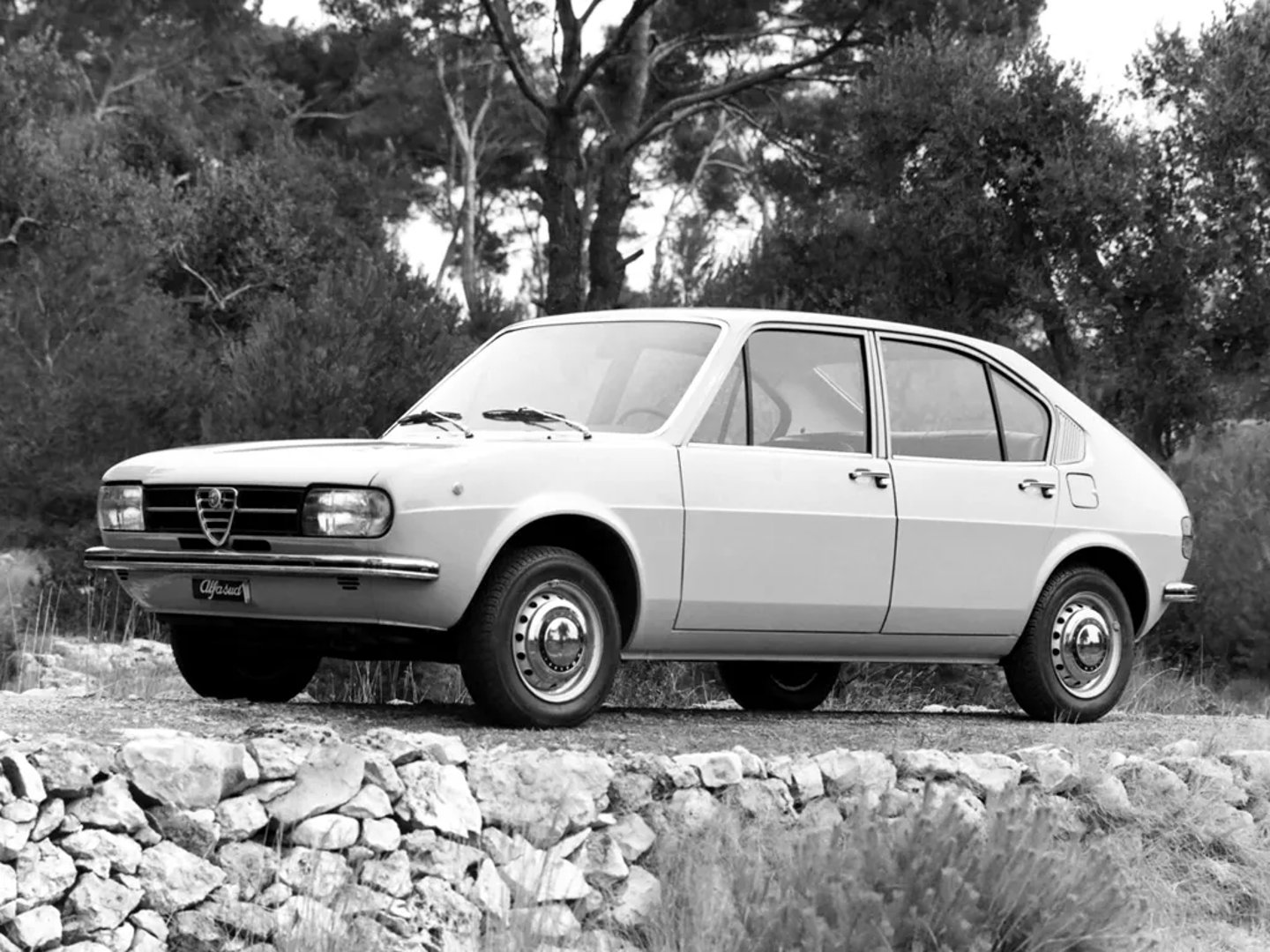 Alfa Romeo_Alfasud_1_generation__Mini_5-doors__6.jpg