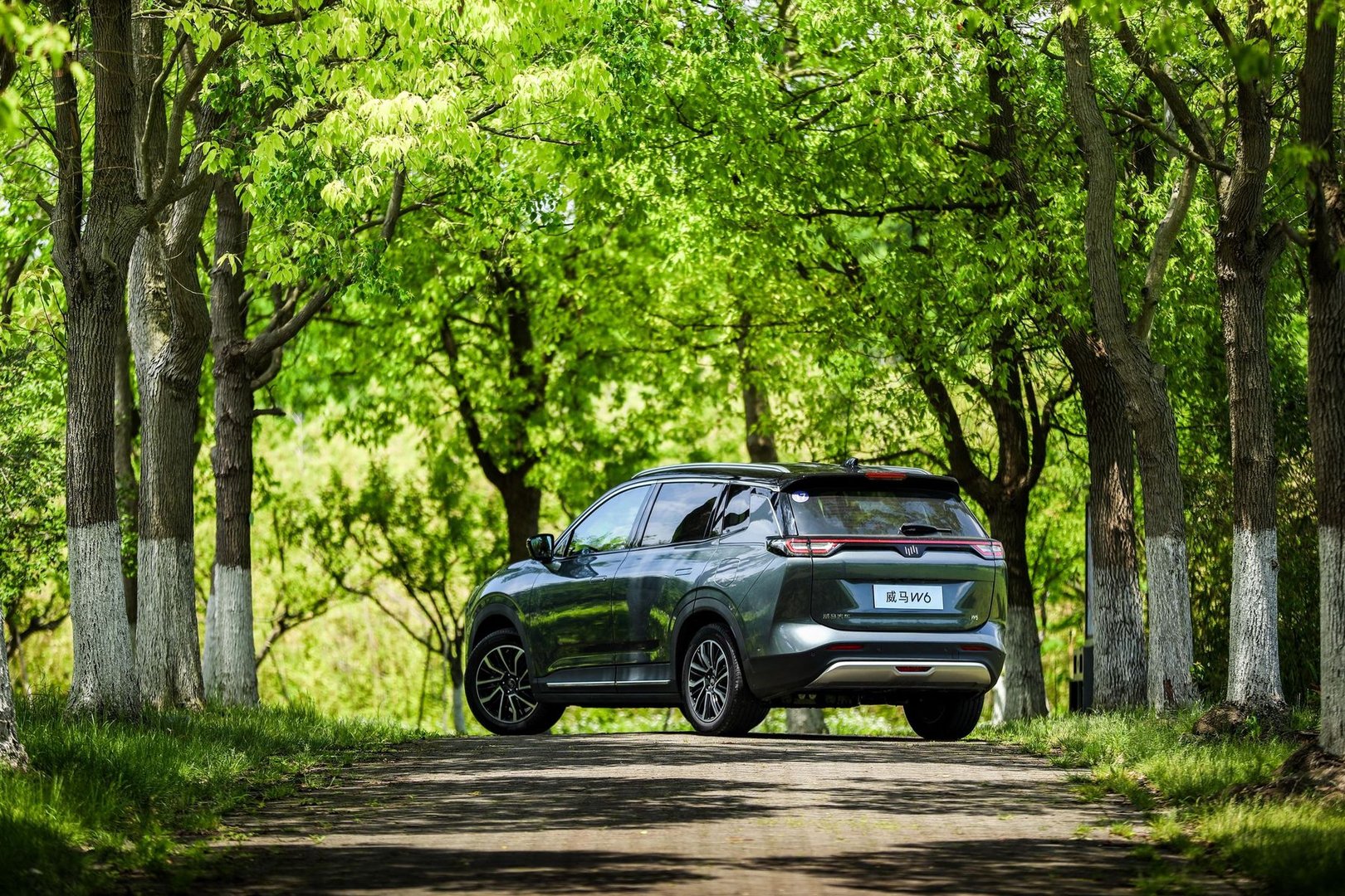 wm-motors_Weltmeister_W6_1_generation__SUV_5-doors__26.jpg