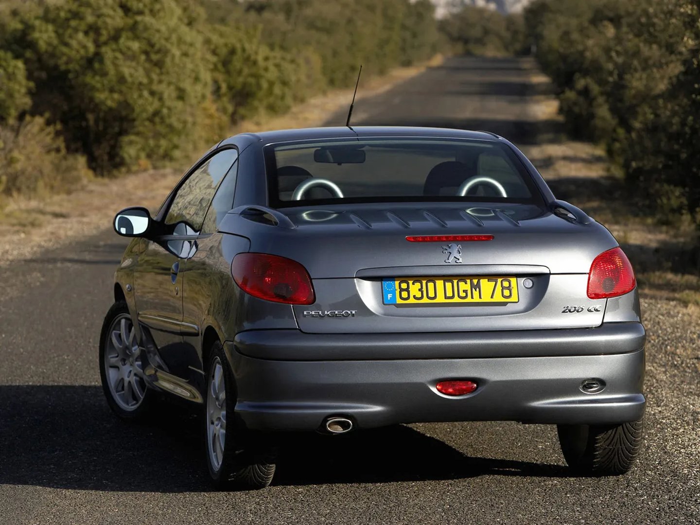Peugeot_206_1_generation__Cabrio__13.jpg