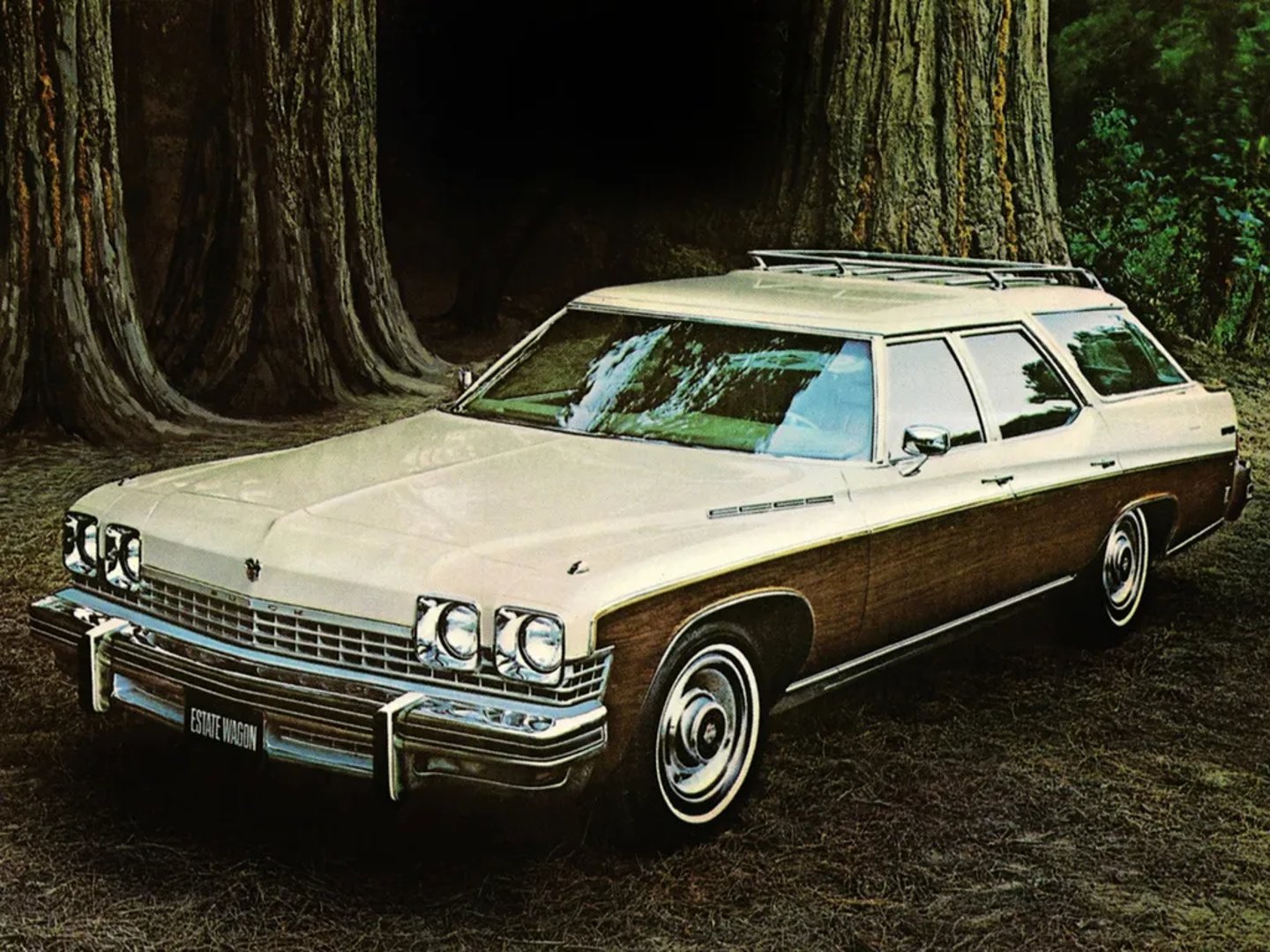 Buick_Estate_Wagon_1_generation__Estate_5-door__2.jpg