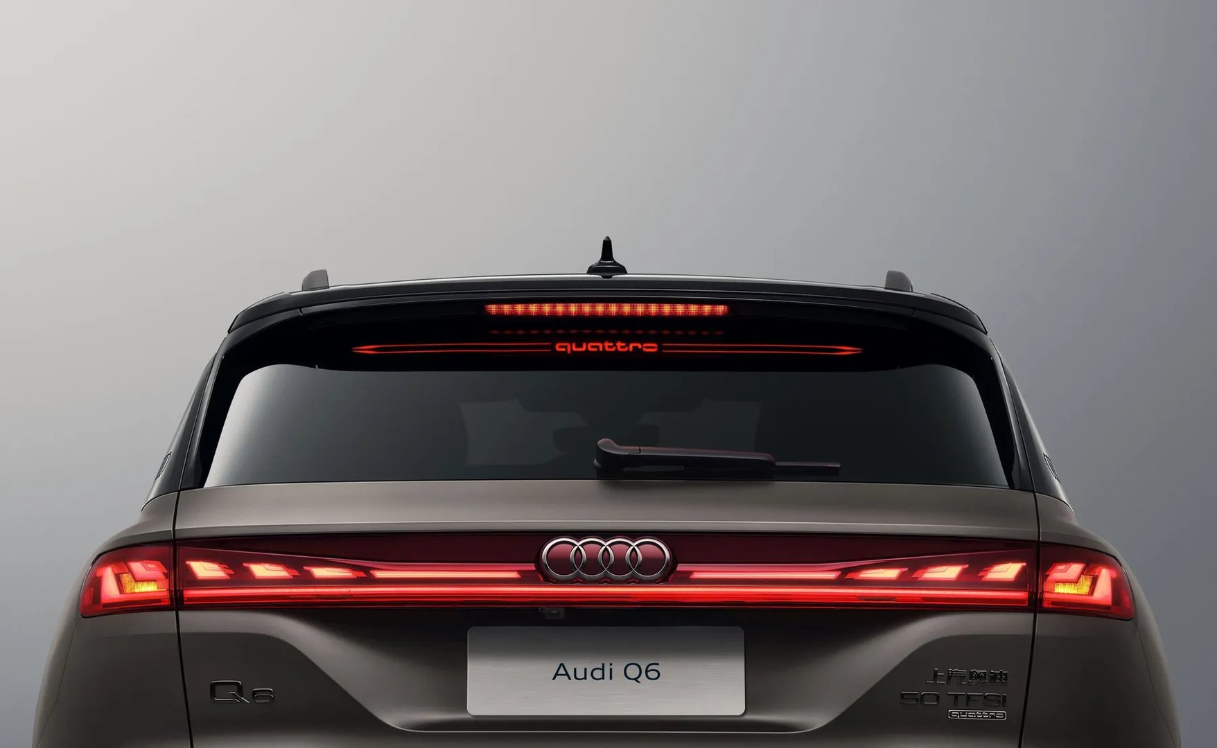 Audi_Q6_1_generation__SUV_5-doors__4.jpg