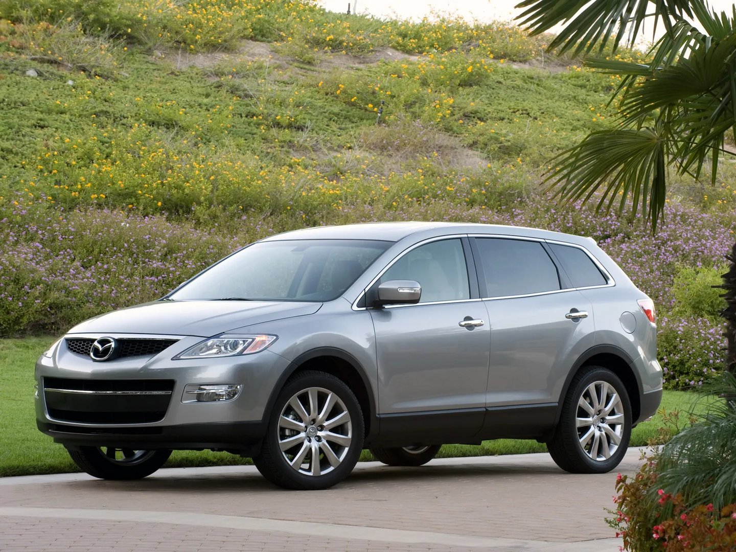 Mazda_CX-9_1_generation__SUV_5-doors__3.jpg